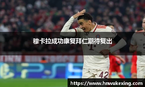 emc易倍