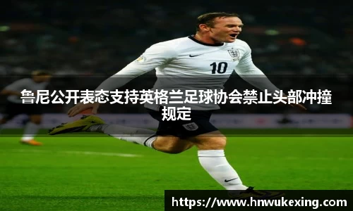 emc易倍体育